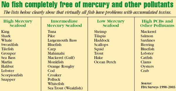 Seafood Mercury Chart