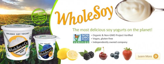 Whole Soy & Co Yogurt