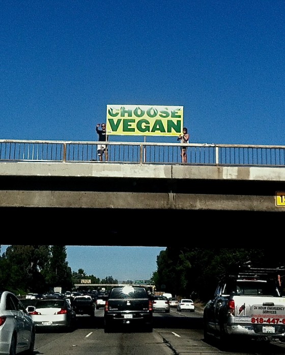 choose vegan large - Version 3